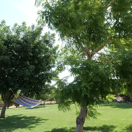 Agriturismo Masseria San Basilio-2