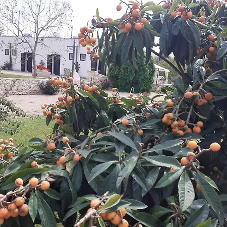 Agriturismo Masseria San Basilio-3
